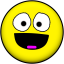 Fry's simple smileys logo