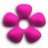 1-flwr-6.png