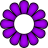 2-petals-purple.png