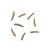 7-anchovies.png