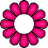 2-petals-rose.png