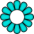 2-petals-aqua.png
