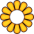 2-petals-yellow.png