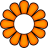2-petals-orange.png